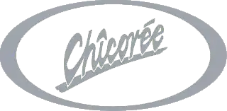 Chicorée